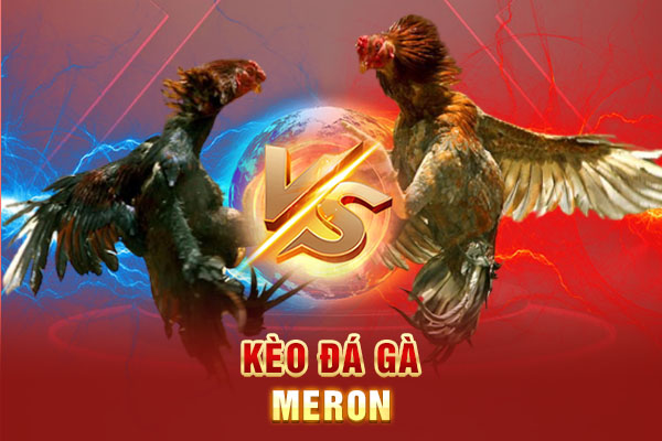 Kèo đá gà Meron Kèo đá gà Meron