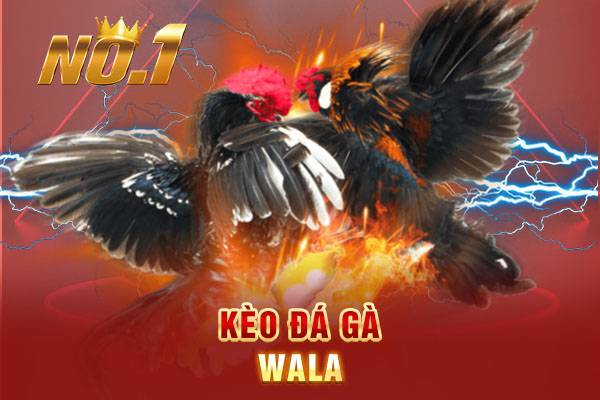 Kèo đá gà Wala Kèo đá gà Wala